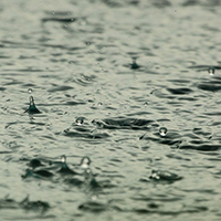 Acid rain