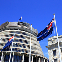 Beehive with flag5