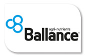 Ballance Logo