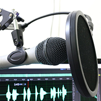 Mic v12